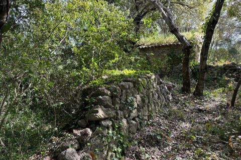 Helårsgrund i Arta, Mallorca, Arta - € 245.000 | Ref: 1166S - foto 16