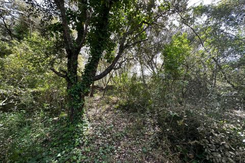 Helårsgrund i Arta, Mallorca, Arta - € 245.000 | Ref: 1166S - foto 18