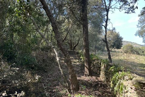 Helårsgrund i Arta, Mallorca, Arta - € 245.000 | Ref: 1166S - foto 19