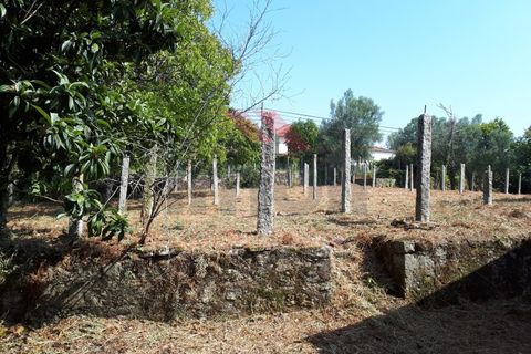 Villa i Arcos de Valdevez, Viana do Castelo, Arcos de Valdevez - € 275.000 | Ref: AVV-2068-RR-0822 - foto 6