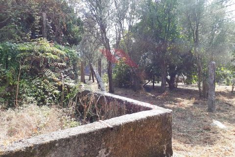 Villa i Arcos de Valdevez, Viana do Castelo, Arcos de Valdevez - € 275.000 | Ref: AVV-2068-RR-0822 - foto 9