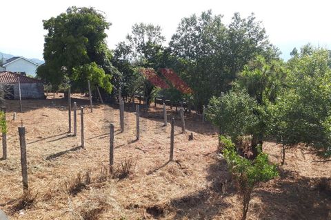 Villa i Arcos de Valdevez, Viana do Castelo, Arcos de Valdevez - € 275.000 | Ref: AVV-2068-RR-0822 - foto 11