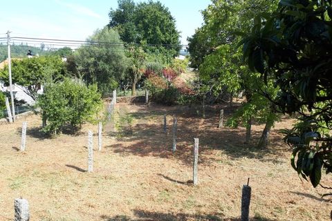 Villa i Arcos de Valdevez, Viana do Castelo, Arcos de Valdevez - € 275.000 | Ref: AVV-2068-RR-0822 - foto 13