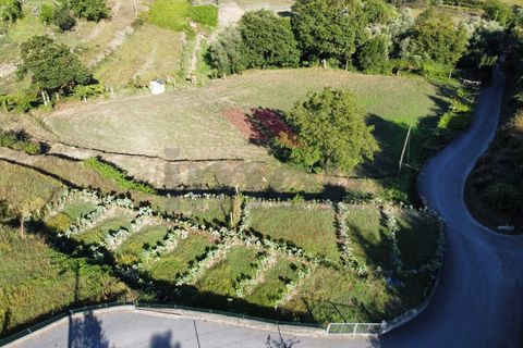 Helårsgrund i Arcos de Valdevez, Viana do Castelo, Arcos de Valdevez - € 45.000 | Ref: AVV-2085-CC-0922 - foto 2