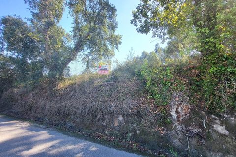 Helårsgrund i Aveiro, Aveiro, Aveiro - € 44.500 | Ref: AV22/182 - foto 13