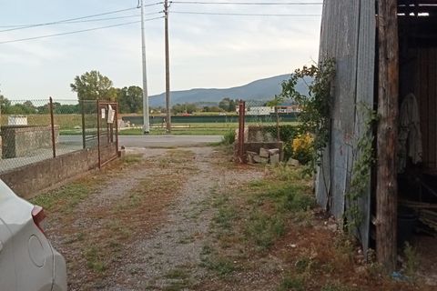 Villa i Capannori, Lucca, Capannori - € 195.000 | Ref: OGD-493 - foto 3