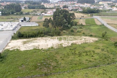 Helårsgrund i Serzedo, Porto, Serzedo - € 115.000 | Ref: ZMPT552381 - foto 12