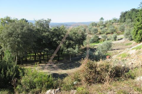 Helårsgrund i Ourem, Santarem, Ourem - € 20.000 | Ref: CV11010-33 - foto 6