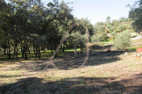 Helårsgrund i Ourem, Santarem, Ourem - € 20.000 | Ref: CV11010-33 - foto 7