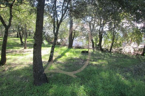 Helårsgrund i Ourem, Santarem, Ourem - € 20.000 | Ref: CV11010-33 - foto 8