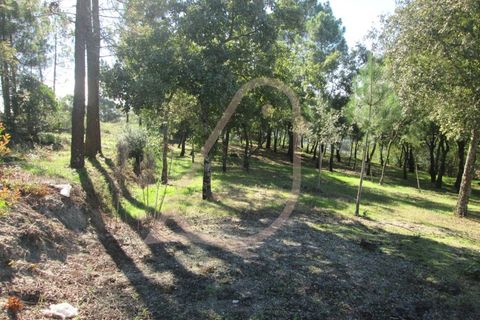 Helårsgrund i Ourem, Santarem, Ourem - € 20.000 | Ref: CV11010-33 - foto 9