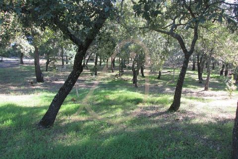 Helårsgrund i Ourem, Santarem, Ourem - € 20.000 | Ref: CV11010-33 - foto 4
