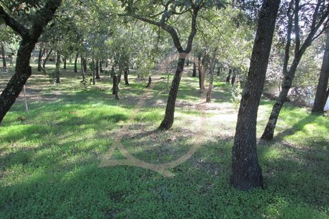 Helårsgrund i Ourem, Santarem, Ourem - € 20.000 | Ref: CV11010-33 - foto 3
