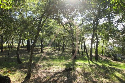 Helårsgrund i Ourem, Santarem, Ourem - € 20.000 | Ref: CV11010-33 - foto 1