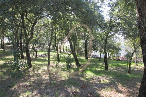 Helårsgrund i Ourem, Santarem, Ourem - € 20.000 | Ref: CV11010-33 - foto 10