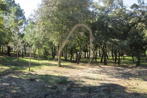 Helårsgrund i Ourem, Santarem, Ourem - € 20.000 | Ref: CV11010-33 - foto 2