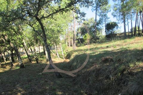 Helårsgrund i Ourem, Santarem, Ourem - € 20.000 | Ref: CV11010-33 - foto 11