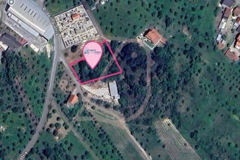 Helårsgrund i Ourem, Santarem, Ourem - € 20.000 | Ref: CV11010-33 - foto 12