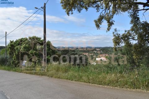 Helårsgrund i Ourem, Santarem, Ourem - € 262.500 | Ref: CV11010-3 - foto 4