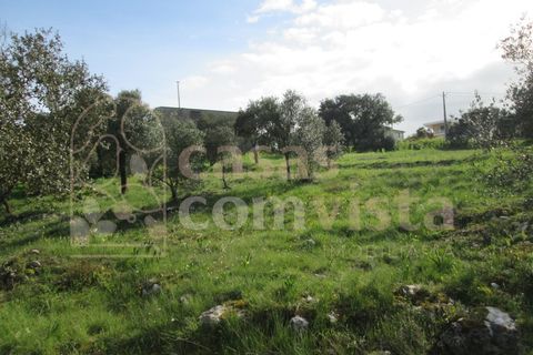 Helårsgrund i Ourem, Santarem, Ourem - € 262.500 | Ref: CV11010-3 - foto 5