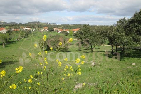 Helårsgrund i Ourem, Santarem, Ourem - € 262.500 | Ref: CV11010-3 - foto 8