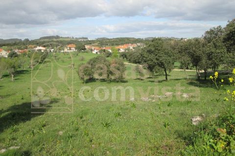 Helårsgrund i Ourem, Santarem, Ourem - € 262.500 | Ref: CV11010-3 - foto 9