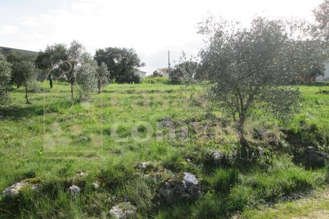 Helårsgrund i Ourem, Santarem, Ourem - € 262.500 | Ref: CV11010-3 - foto 10