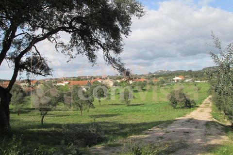 Helårsgrund i Ourem, Santarem, Ourem - € 262.500 | Ref: CV11010-3 - foto 12