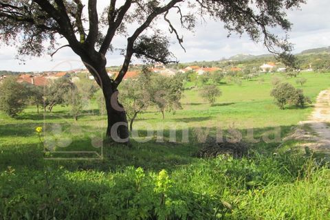 Helårsgrund i Ourem, Santarem, Ourem - € 262.500 | Ref: CV11010-3 - foto 13
