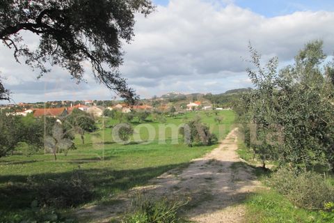 Helårsgrund i Ourem, Santarem, Ourem - € 262.500 | Ref: CV11010-3 - foto 14
