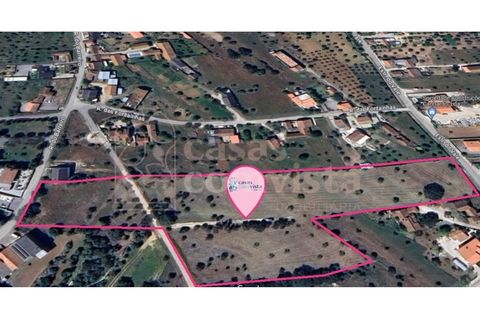 Helårsgrund i Ourem, Santarem, Ourem - € 262.500 | Ref: CV11010-3 - foto 1