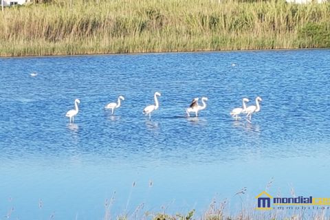 Landejendom i Pachino, Siracusa, Pachino - € 300.000 | Ref: Baronello - foto 12
