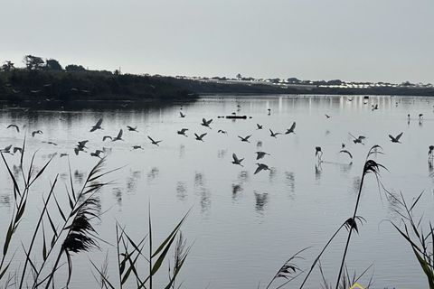 Landejendom i Pachino, Siracusa, Pachino - € 300.000 | Ref: Baronello - foto 18