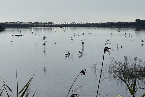 Landejendom i Pachino, Siracusa, Pachino - € 300.000 | Ref: Baronello - foto 19