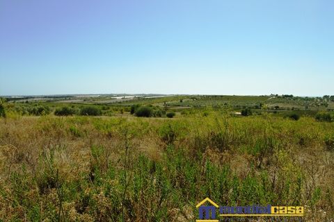 Helårsgrund i Noto, Siracusa, Noto - € 38.000 | Ref: Buonivini - foto 1