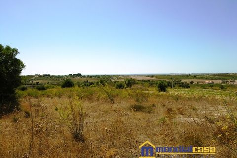 Helårsgrund i Noto, Siracusa, Noto - € 38.000 | Ref: Buonivini - foto 2