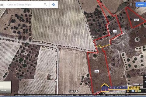 Helårsgrund i Noto, Siracusa, Noto - € 38.000 | Ref: Buonivini - foto 3