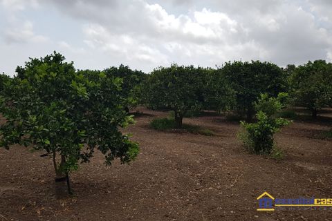Helårsgrund i Noto, Siracusa, Noto - € 80.000 | Ref: BQV-1201 - foto 2