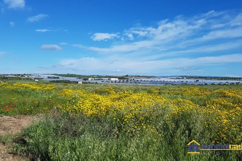 Helårsgrund i Noto, Siracusa, Noto - € 30.000 | Ref: SBC-1161 - foto 2