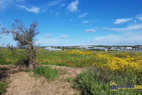Helårsgrund i Noto, Siracusa, Noto - € 30.000 | Ref: SBC-1161 - foto 3