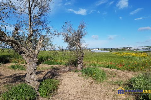 Helårsgrund i Noto, Siracusa, Noto - € 30.000 | Ref: SBC-1161 - foto 4