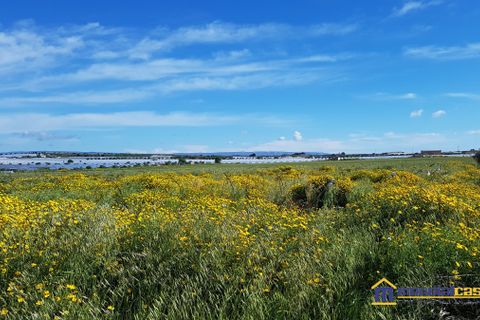 Helårsgrund i Noto, Siracusa, Noto - € 30.000 | Ref: SBC-1161 - foto 6