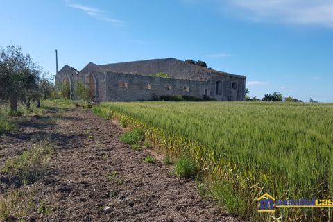 Helårsgrund i Noto, Siracusa, Noto - € 30.000 | Ref: SBC-1161 - foto 7
