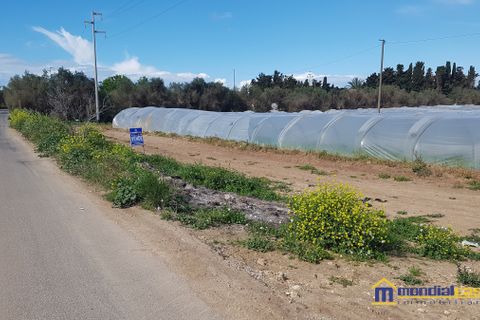 Helårsgrund i Noto, Siracusa, Noto - € 95.000 | Ref: POL-1162 - foto 3