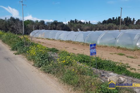 Helårsgrund i Noto, Siracusa, Noto - € 95.000 | Ref: POL-1162 - foto 4