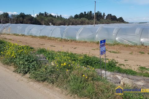 Helårsgrund i Noto, Siracusa, Noto - € 95.000 | Ref: POL-1162 - foto 5