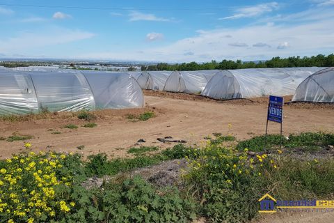 Helårsgrund i Noto, Siracusa, Noto - € 95.000 | Ref: POL-1162 - foto 6