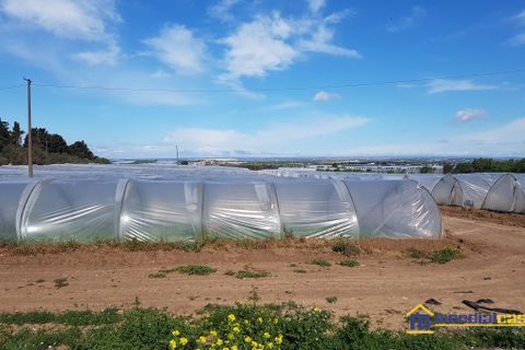 Helårsgrund i Noto, Siracusa, Noto - € 95.000 | Ref: POL-1162 - foto 7