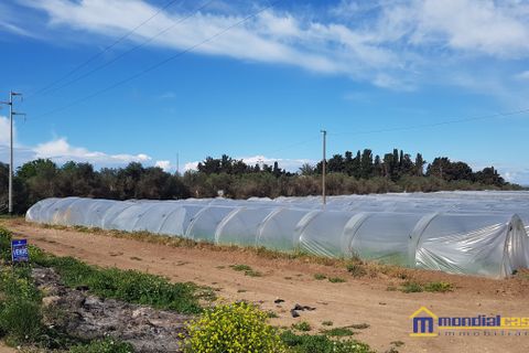 Helårsgrund i Noto, Siracusa, Noto - € 95.000 | Ref: POL-1162 - foto 8