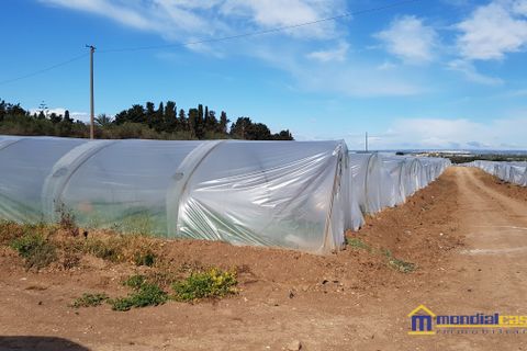 Helårsgrund i Noto, Siracusa, Noto - € 95.000 | Ref: POL-1162 - foto 9